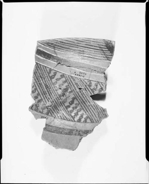 Photograph and negative of painted ceramics from the Jeddito Expedition, page 18