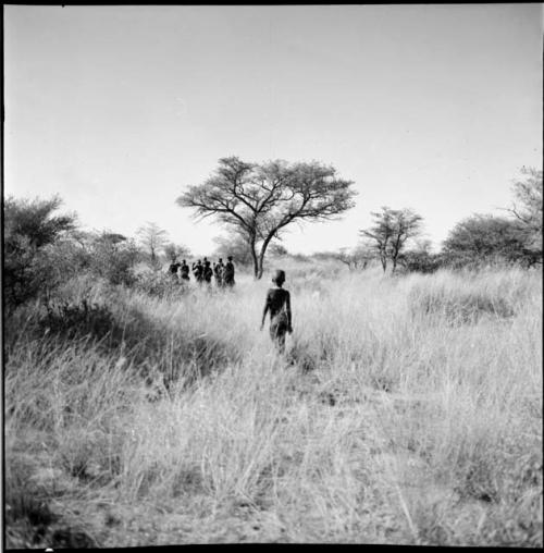 Group of people walking in the veld, gathering