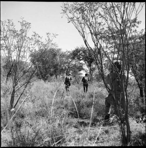 Two men walking into the veld, with an expedition member photographing them, view from behind