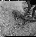 Man adjusts the wood on a fire, close-up