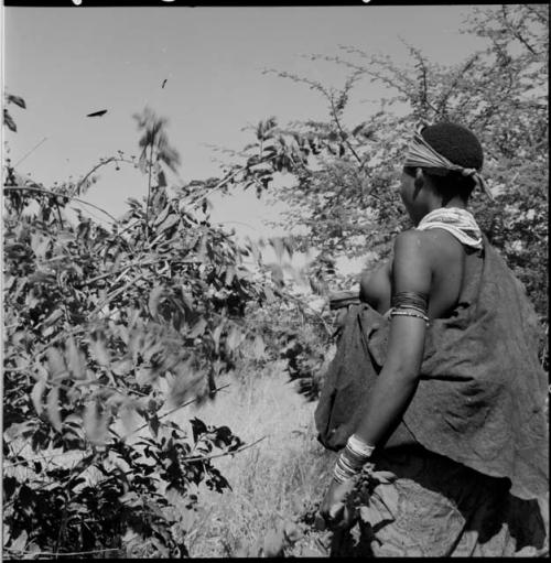 ≠Nisa picking berries, view from behind