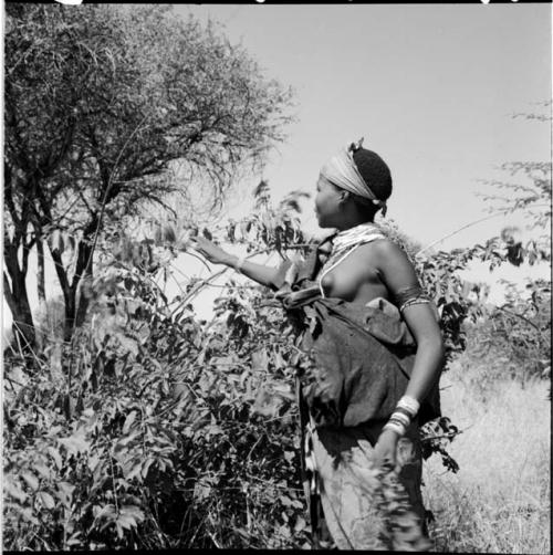 ≠Nisa picking berries, in profile