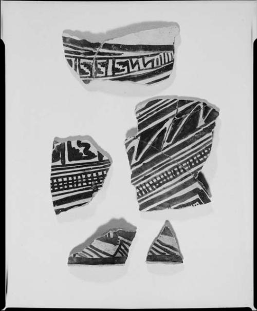 Photograph and negative of painted ceramics from the Jeddito Expedition, page 70