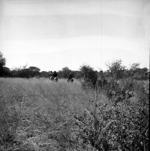 Four men riding horses in the veld, distant view