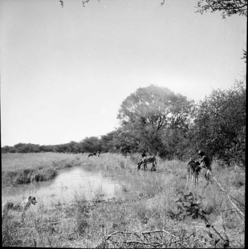 Men standing next to horses drinking at a waterhole