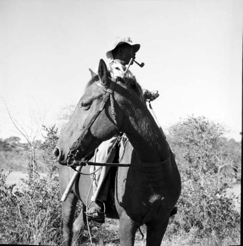 Man sitting on a horse, smoking a pipe