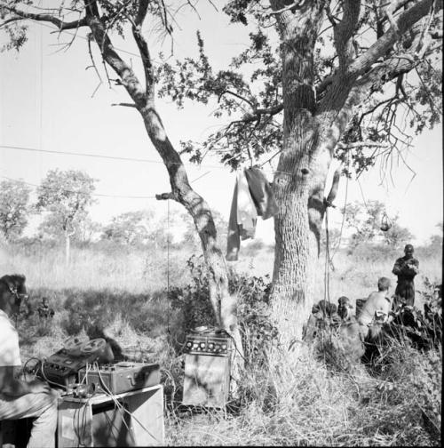 Group of people sitting next to a tree with Nicholas England, with another expedition member sitting with sound equipment on the other side of the tree