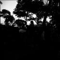 People sitting and standing among trees