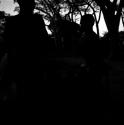 People sitting and standing among trees