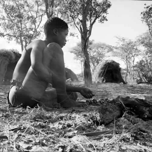 /Gunda tending a fire, with mangetti nuts on the ground next to him