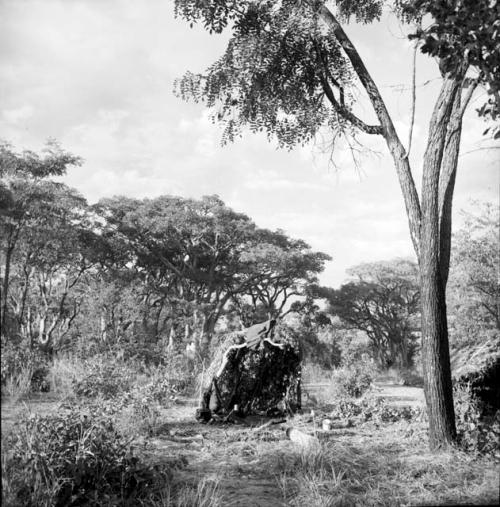 Shelter skerm, with a blanket lying on the top of it