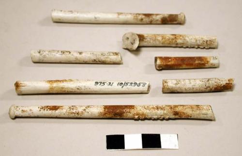 Clay pipe bowls and clay pipe stems (detached), approx. 30 (+) bowls, 35(+) stem