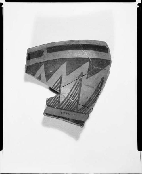 Photograph and negative of painted ceramics from the Jeddito Expedition, page 111