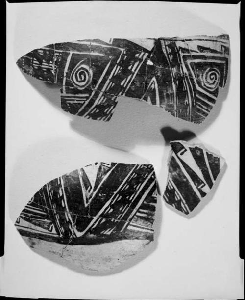 Photograph and negative of painted ceramics from the Jeddito Expedition, page 85