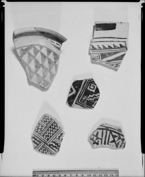 Photograph and negative of painted ceramics from the Jeddito Expedition, page 163