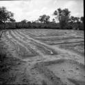 Square of plowed land