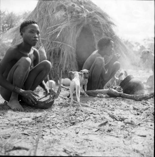 Bojo eating, sitting in front of his skerm next to a man playing a //guashi, with dogs standing next to them