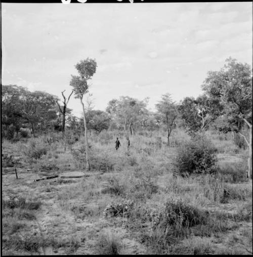 Two people standing in a clearing in the veld, distant view