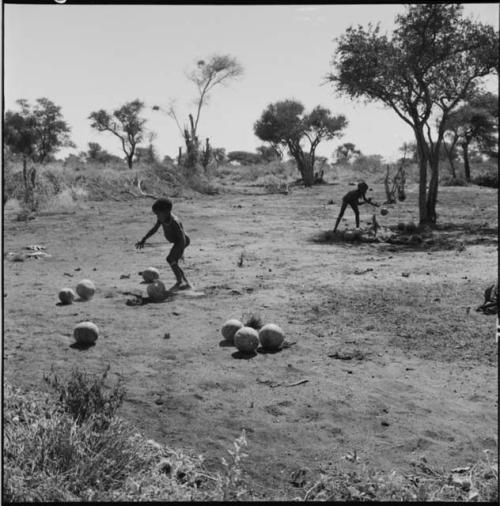 Child leaning over to pick up a tsama melon, with another child tossing a melon near a tree in the background