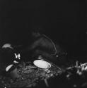 Man cleaning a pot, with other utensils lying on the ground next to him