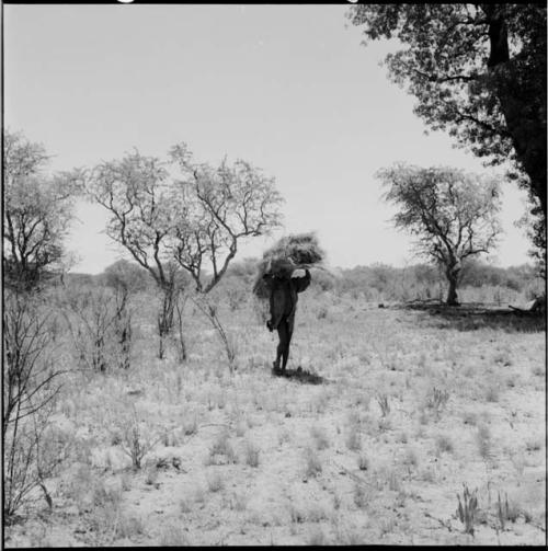 Man carrying a load of grass over his head