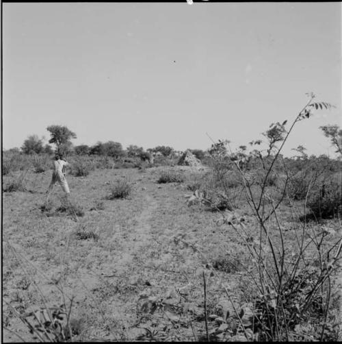 John Marshall filming, view from behind, with skerms in the distance