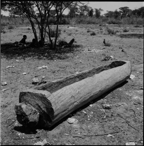 Hollowed out log used as a watering trough for animals, with a group of people sitting under a tree in the background