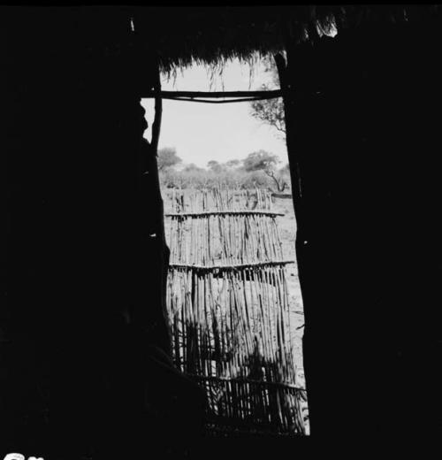 Fence, view from inside a skerm