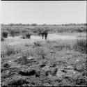 People stand in and next to a pan filled with water, distant view