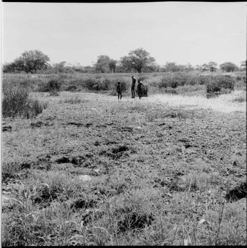 People stand in and next to a pan with water in it, distant view