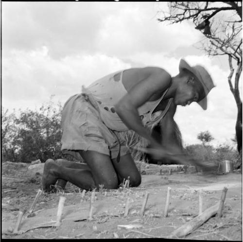 Man wearing a T-shirt, shorts and hat, leaning over, scraping an animal skin that is pegged to the ground