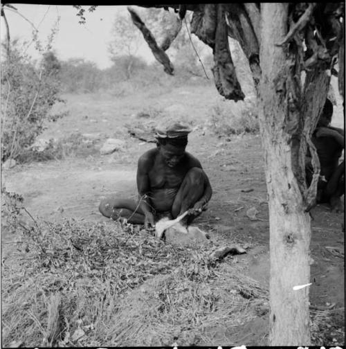 ≠Toma skinning an animal, with meat hanging in a tree to dry near him