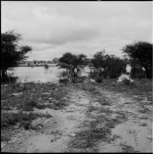 Edge of a pan in rainy season