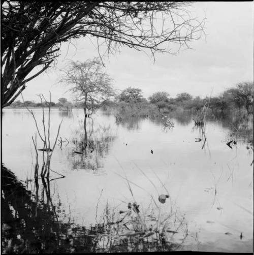 Pan during the rainy season