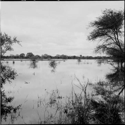 Pan during the rainy season