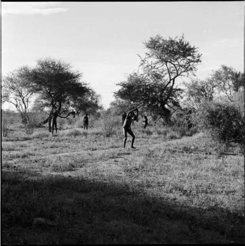 Boys playing a stick-throwing game