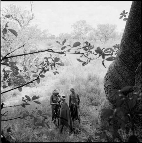 Three women standing in the werft next to a baobab tree, view from above