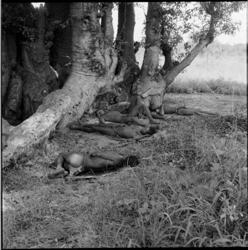Five men sleeping on the ground at the base of a baobab tree
