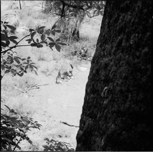 Two piles of belongings, including ostrich eggshells, view from up in a baobab tree