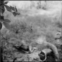 Spider in a web, with a man sleeping in the background (out of focus)