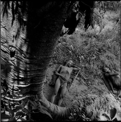 Two men sleeping at the base of a baobab tree, view from up in the tree