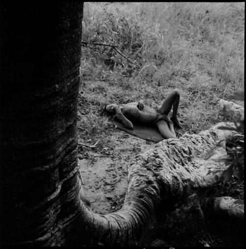 Man sleeping at the base of a baobab tree, view from up in the tree