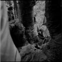 Man playing a musical bow and a man sleeping at the base of a baobab tree, view from up in the tree
