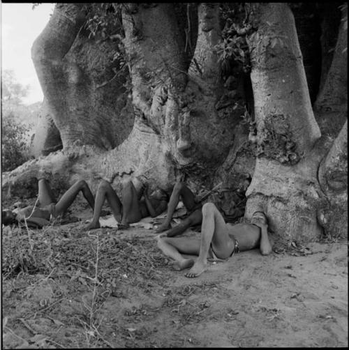 Four men waking up from sleeping at the base of a baobab tree