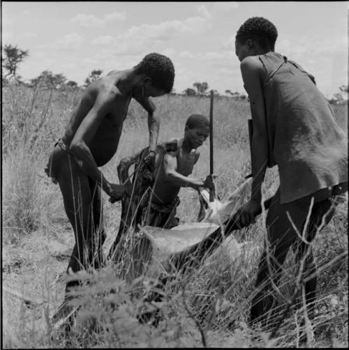 Gau (husband of Be and Khuan//a) and two other men working on a dead wildebeeste