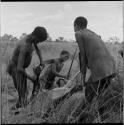 Gau (husband of Be and Khuan//a) and two other men working on a dead wildebeeste