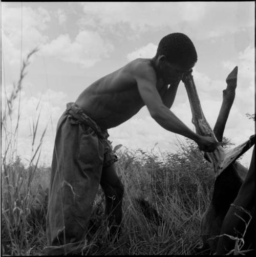 Man skinning the leg of a dead wildebeeste