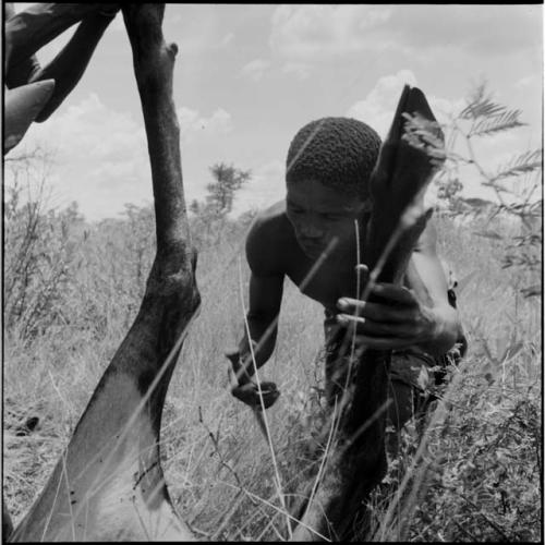 Man holding a knife, working on the legs of a dead wildebeeste