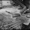 Poison grubs used for arrows in the top of a shoe polish tin next to a man's feet