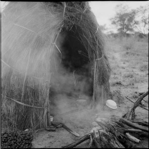 Skerm with smoke from a fire blowing across it, with a pile of nuts and an ostrich eggshell on the ground next to it